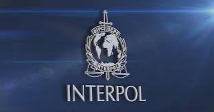 Interpol Cybercrime Crackdown in Africa: Over 1,200 Suspects Arrested in Major Operation